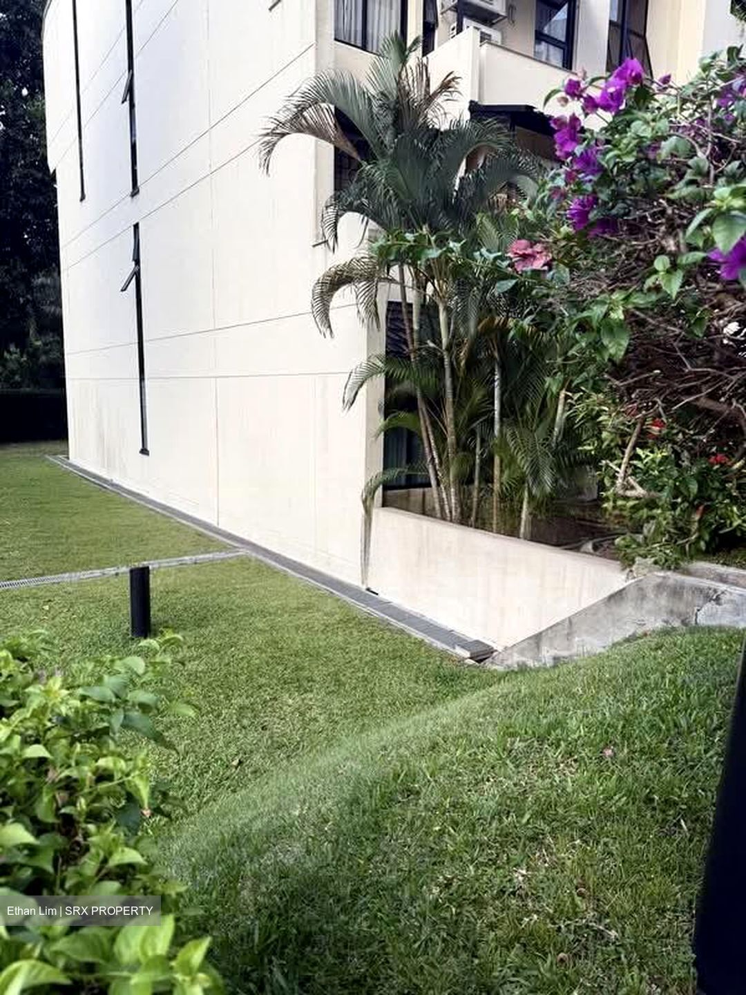 The Draycott (D10), Apartment #559176731